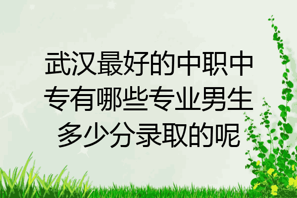 武汉最好的中职中专有哪些专业男生多少分录取的呢