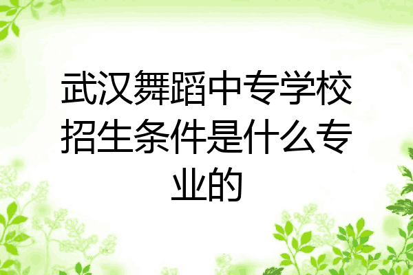 武汉舞蹈中专学校招生条件是什么专业的