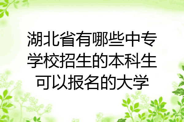 湖北省有哪些中专学校招生的本科生可以报名的大学