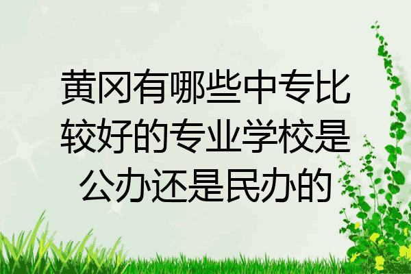 黄冈有哪些中专比较好的专业学校是公办还是民办的