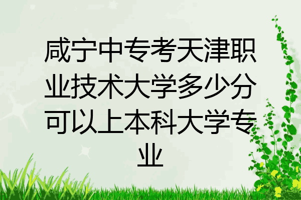 咸宁中专考天津职业技术大学多少分可以上本科大学专业