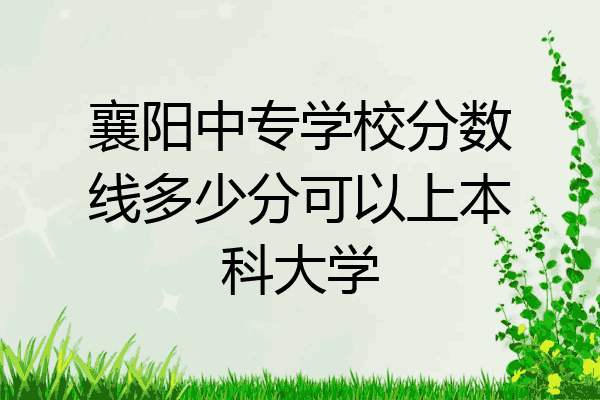 襄阳中专学校分数线多少分可以上本科大学