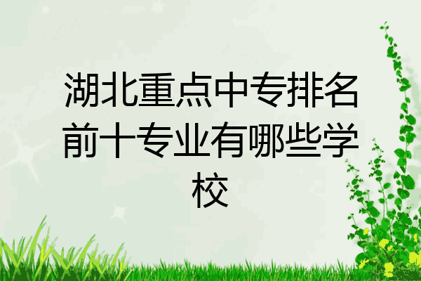 湖北重点中专排名前十专业有哪些学校