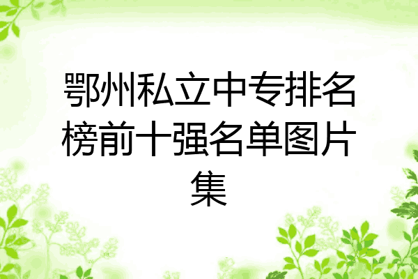鄂州私立中专排名榜前十强名单图片集