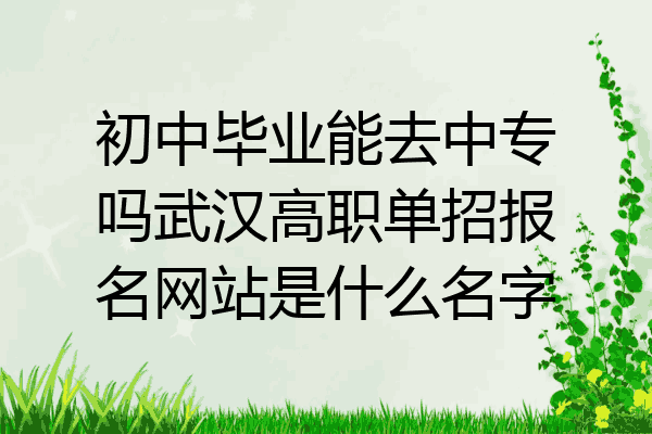 初中毕业能去中专吗武汉高职单招报名网站是什么名字