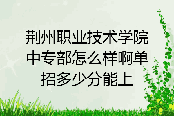 荆州职业技术学院中专部怎么样啊单招多少分能上