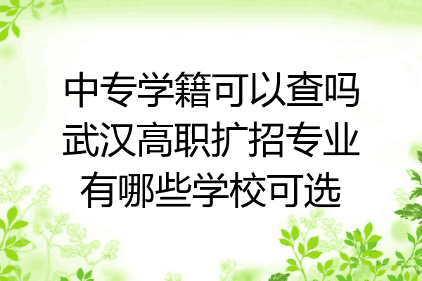中专学籍可以查吗武汉高职扩招专业有哪些学校可选