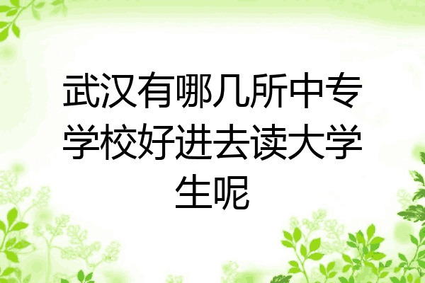 武汉有哪几所中专学校好进去读大学生呢