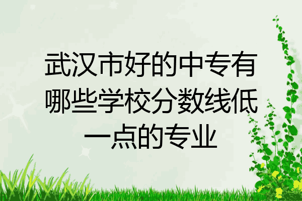 武汉市好的中专有哪些学校分数线低一点的专业