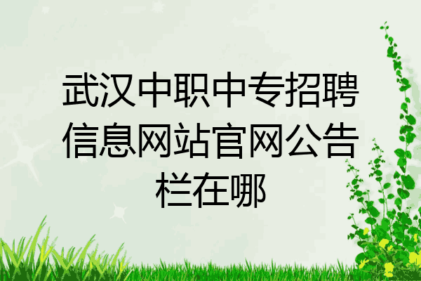 武汉中职中专招聘信息网站官网公告栏在哪