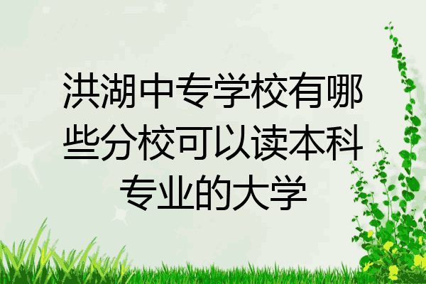 洪湖中专学校有哪些分校可以读本科专业的大学