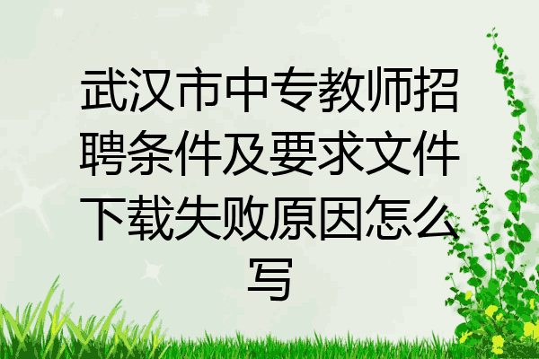 武汉市中专教师招聘条件及要求文件下载失败原因怎么写