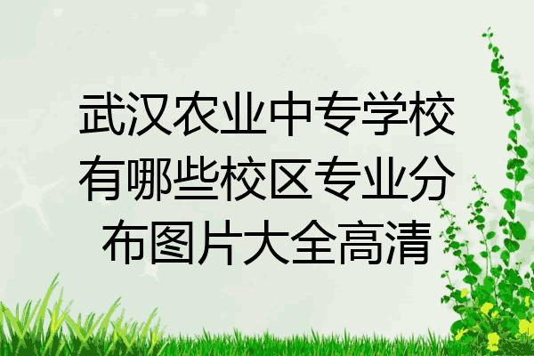 武汉农业中专学校有哪些校区专业分布图片大全高清