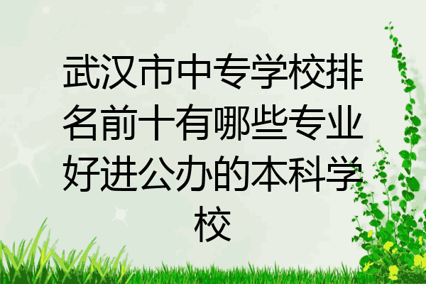 武汉市中专学校排名前十有哪些专业好进公办的本科学校