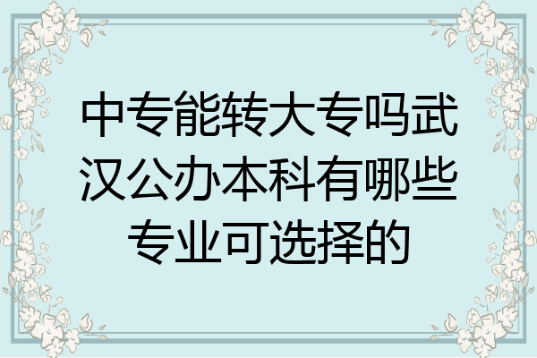 中专能转大专吗武汉公办本科有哪些专业可选择的