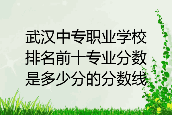 武汉中专职业学校排名前十专业分数是多少分的分数线