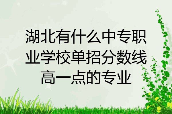 湖北有什么中专职业学校单招分数线高一点的专业