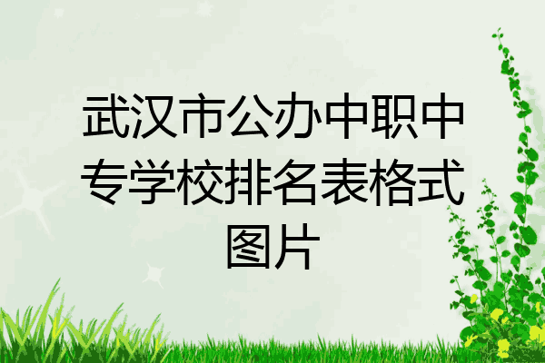 武汉市公办中职中专学校排名表格式图片