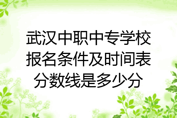 武汉中职中专学校报名条件及时间表分数线是多少分