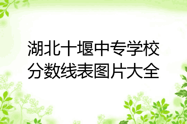 湖北十堰中专学校分数线表图片大全