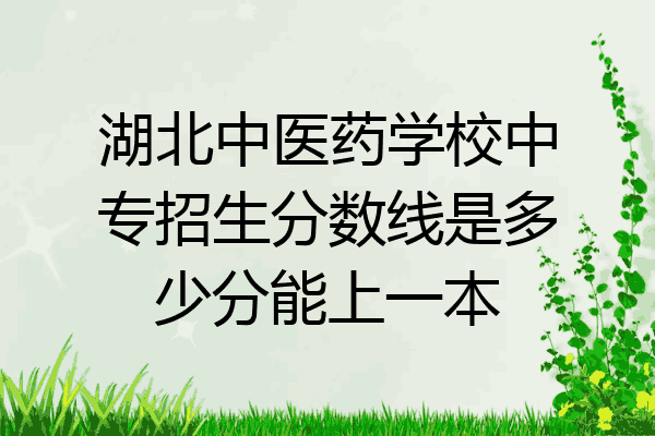 湖北中医药学校中专招生分数线是多少分能上一本