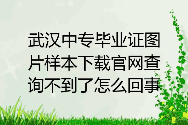 武汉中专毕业证图片样本下载官网查询不到了怎么回事