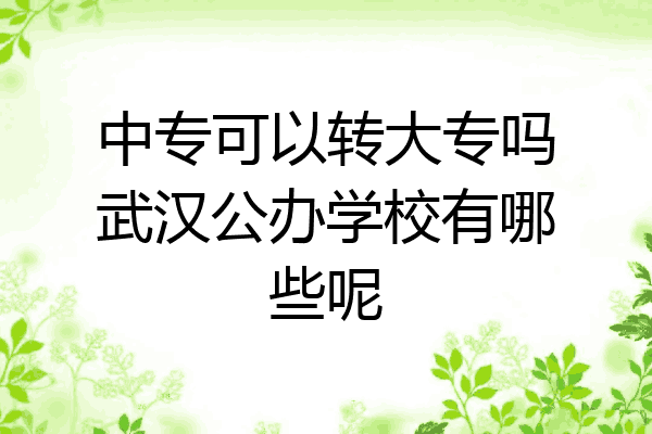 中专可以转大专吗武汉公办学校有哪些呢