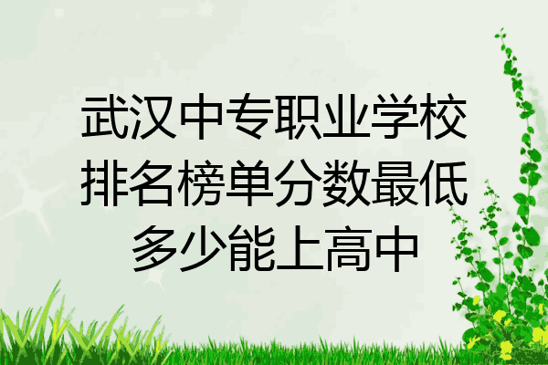 武汉中专职业学校排名榜单分数最低多少能上高中