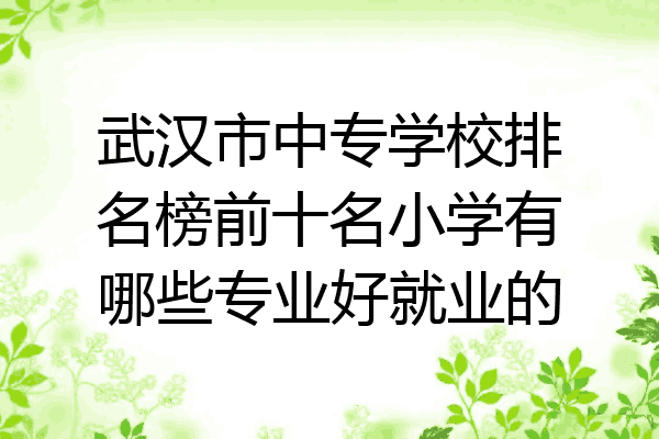 武汉市中专学校排名榜前十名小学有哪些专业好就业的
