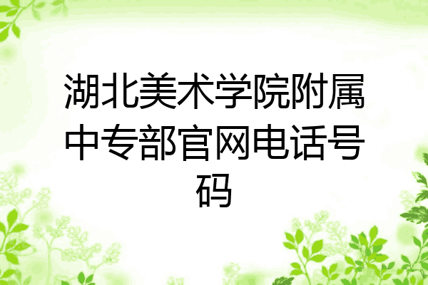 湖北美术学院附属中专部官网电话号码
