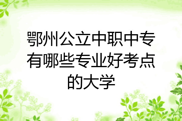 鄂州公立中职中专有哪些专业好考点的大学