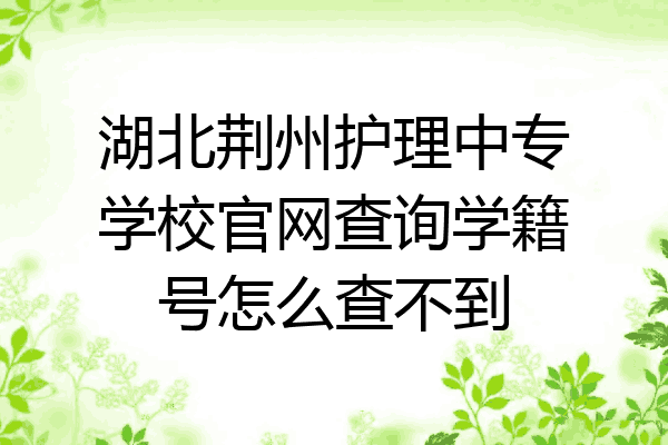 湖北荆州护理中专学校官网查询学籍号怎么查不到