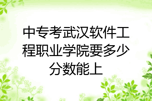 中专考武汉软件工程职业学院要多少分数能上