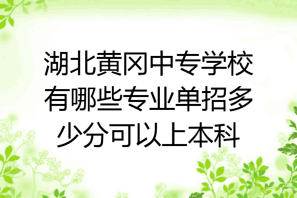 湖北黄冈中专学校有哪些专业单招多少分可以上本科