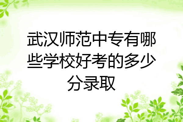 武汉师范中专有哪些学校好考的多少分录取