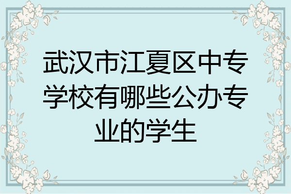 武汉市江夏区中专学校有哪些公办专业的学生