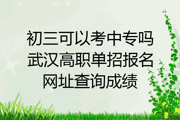 初三可以考中专吗武汉高职单招报名网址查询成绩