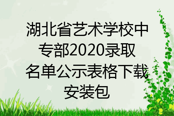 湖北省艺术学校中专部2020录取名单公示表格下载安装包