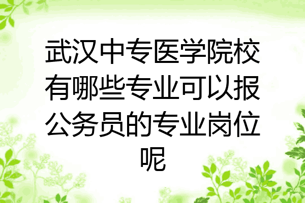 武汉中专医学院校有哪些专业可以报公务员的专业岗位呢