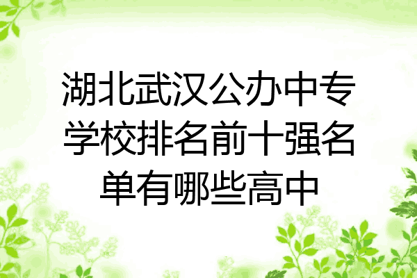 湖北武汉公办中专学校排名前十强名单有哪些高中