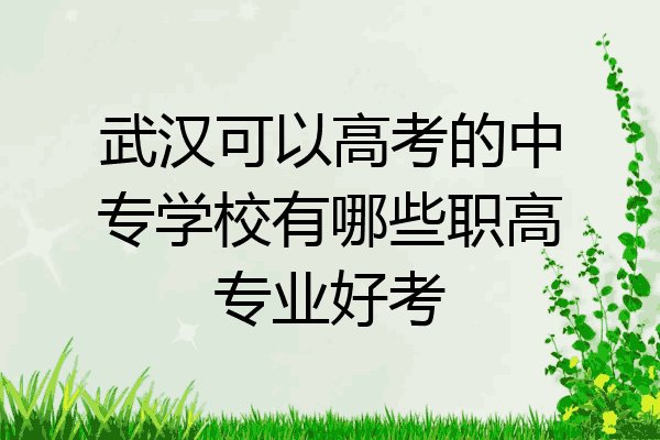 武汉可以高考的中专学校有哪些职高专业好考