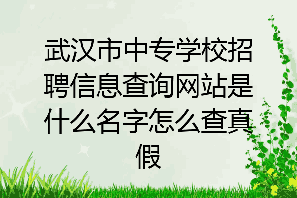 武汉市中专学校招聘信息查询网站是什么名字怎么查真假