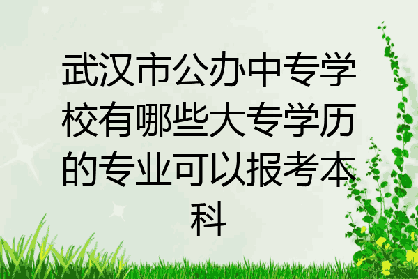 武汉市公办中专学校有哪些大专学历的专业可以报考本科