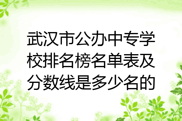 武汉市公办中专学校排名榜名单表及分数线是多少名的