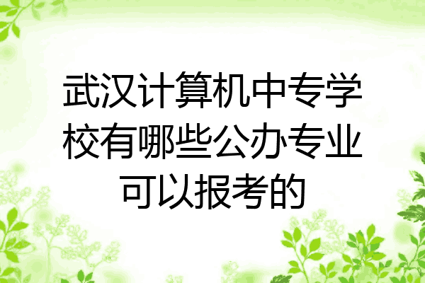 武汉计算机中专学校有哪些公办专业可以报考的