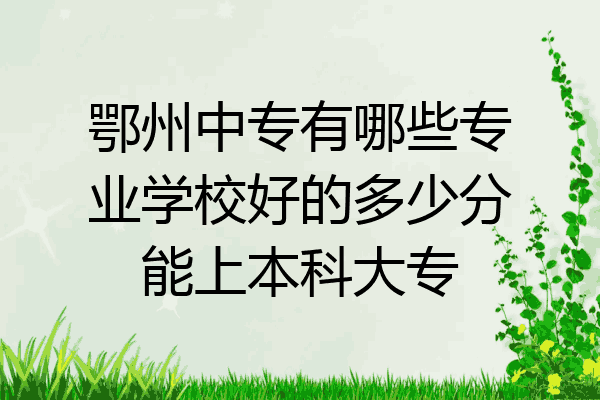 鄂州中专有哪些专业学校好的多少分能上本科大专