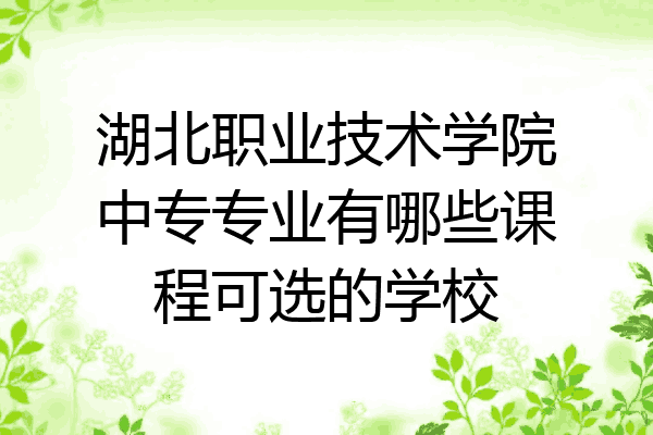 湖北职业技术学院中专专业有哪些课程可选的学校