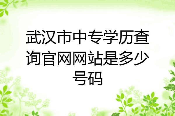 武汉市中专学历查询官网网站是多少号码