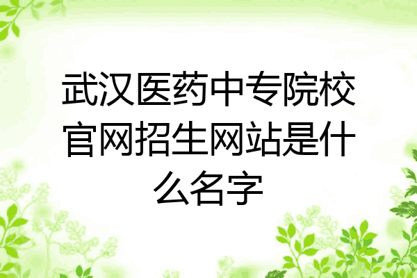 武汉医药中专院校官网招生网站是什么名字