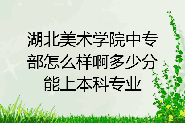 湖北美术学院中专部怎么样啊多少分能上本科专业